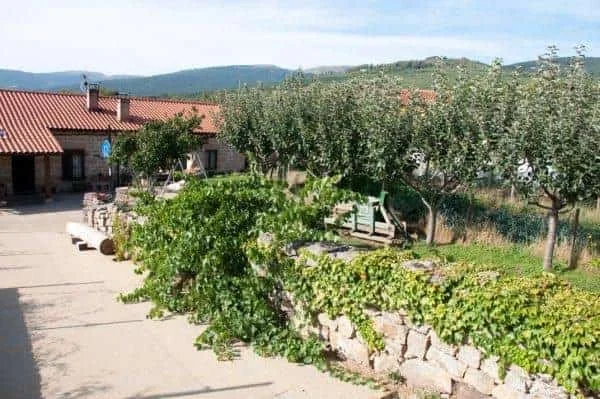 Casa rural de La Tía Fresquera - Foto 1