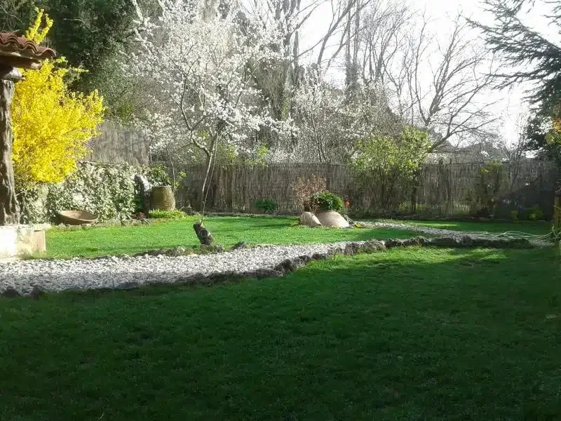 El Jardin Del Dulce - Foto 3