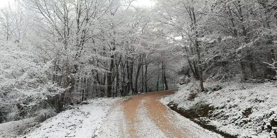 La Riguera de Ginio - Foto 2