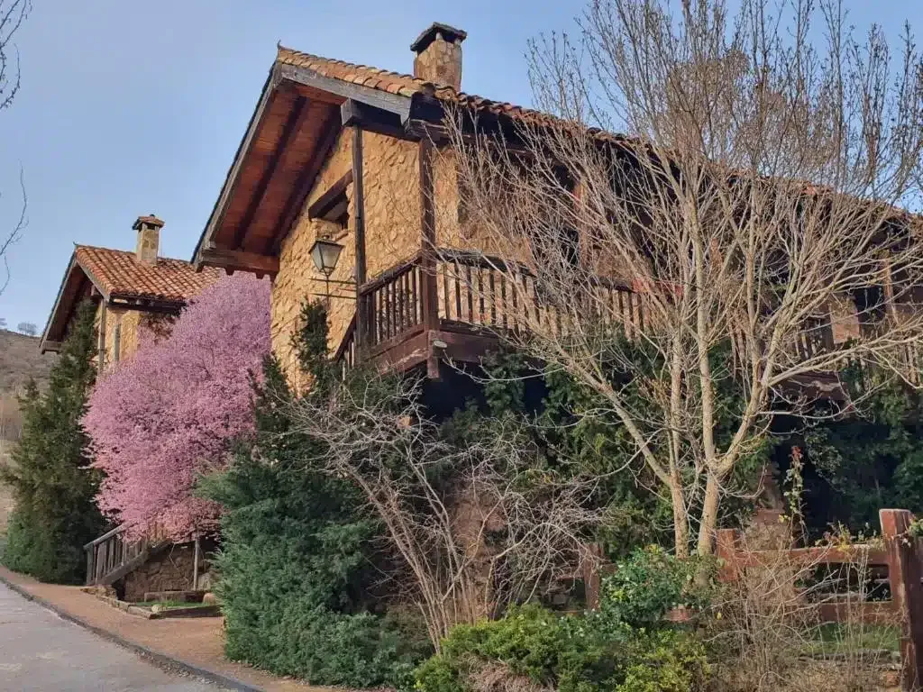 Acebos del Tajo - Foto 1