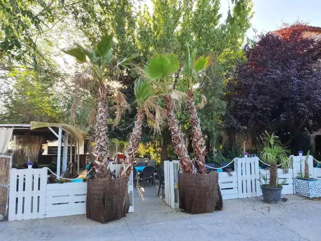 Acebos del Tajo - Foto 5