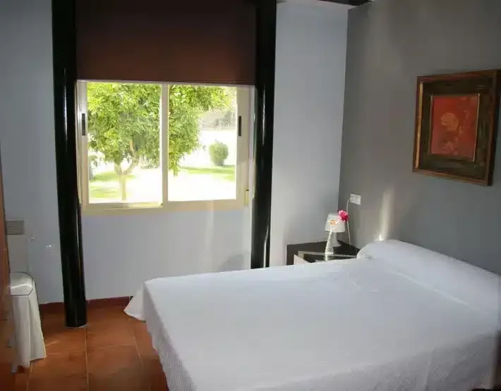 El Olivar del Marques - Foto 4