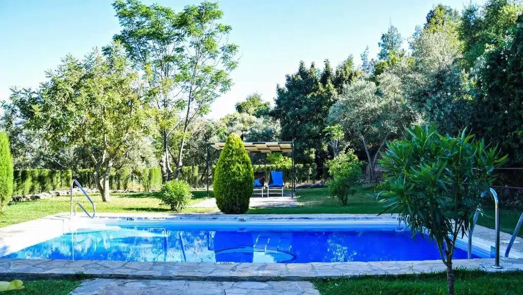 Casas Rurales Los Algarrobales - Foto 5