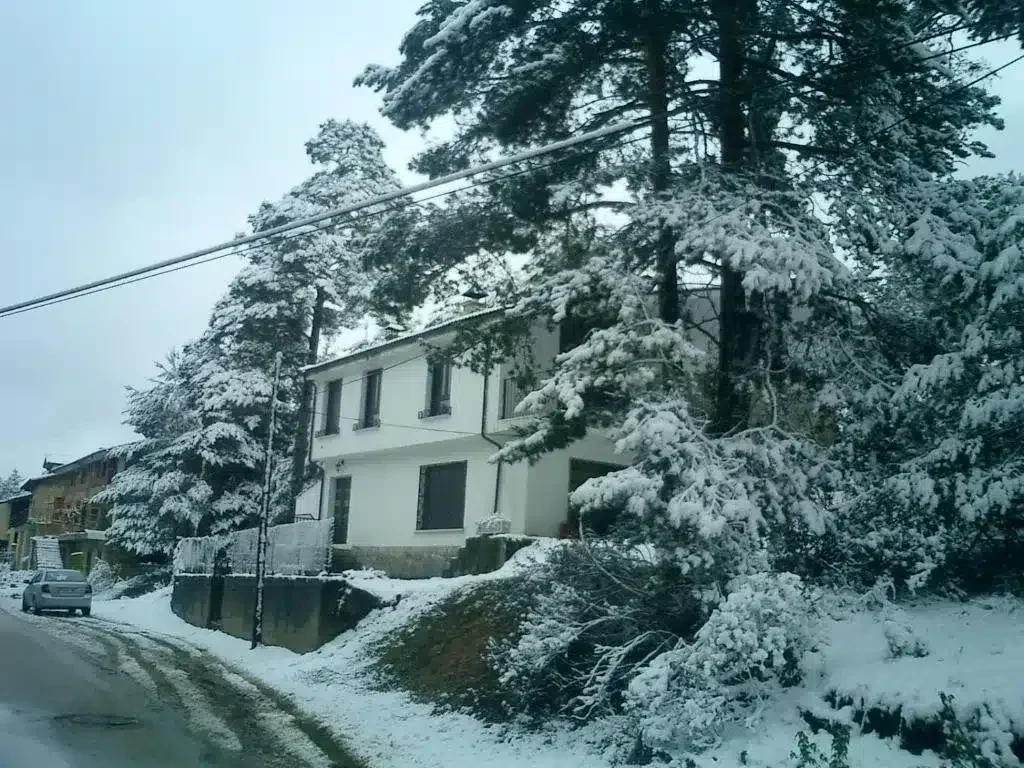 Fuente del Pino - Foto 2