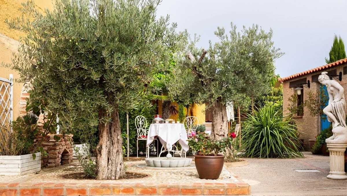 Beautiful Alamedas - Foto 2