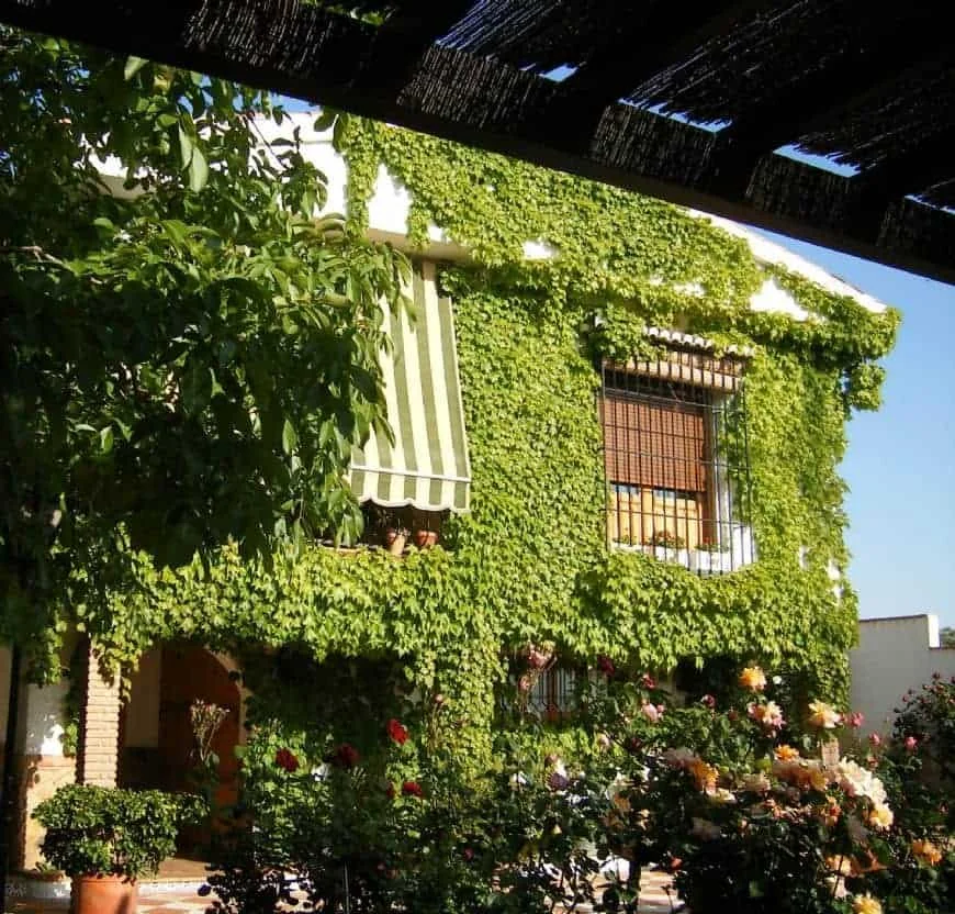La Aldabilla - Foto 1