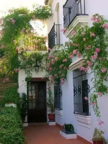 Vega de Cazalla - Foto 1