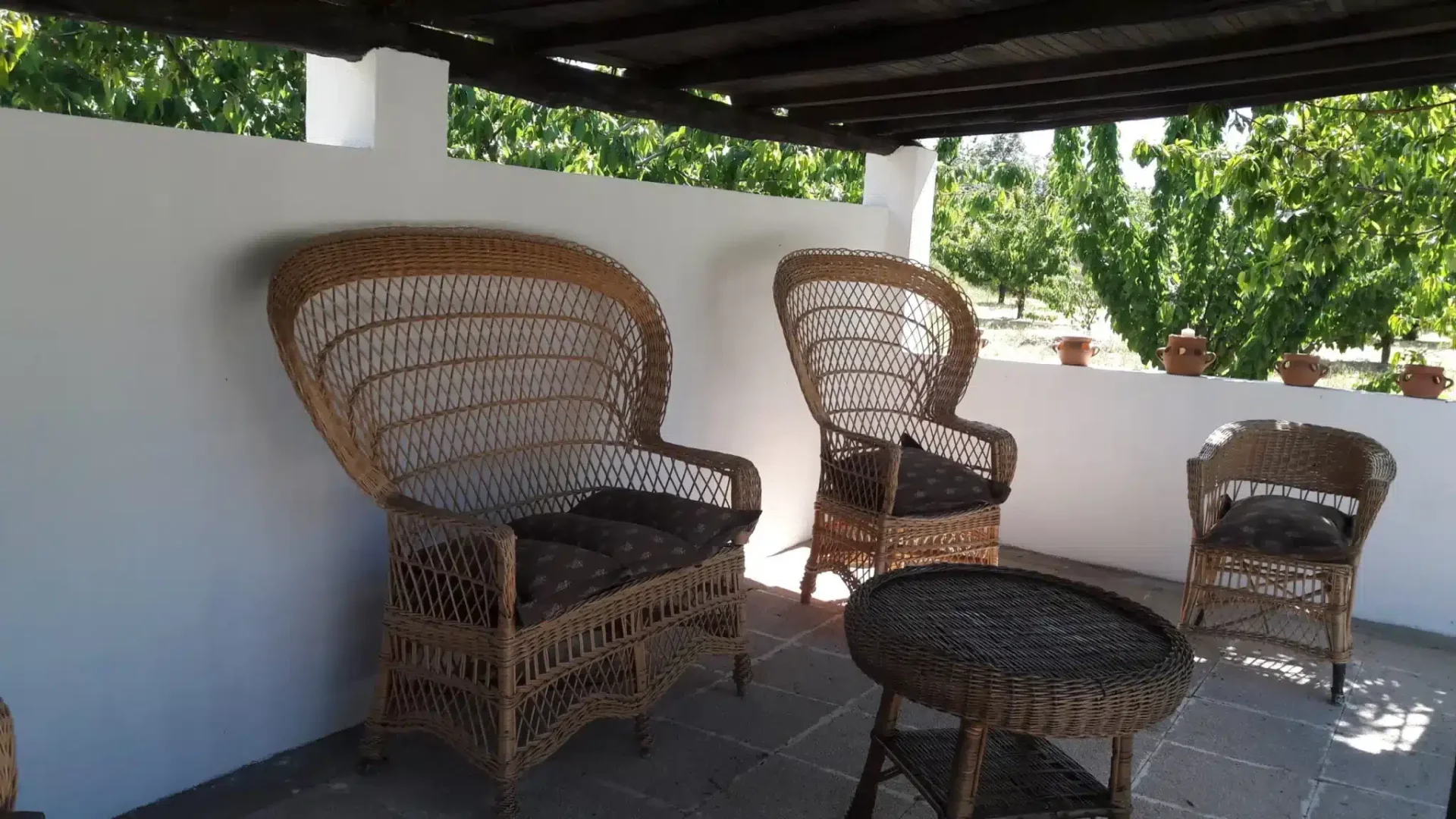El Cerezal del Jerte - Foto 2