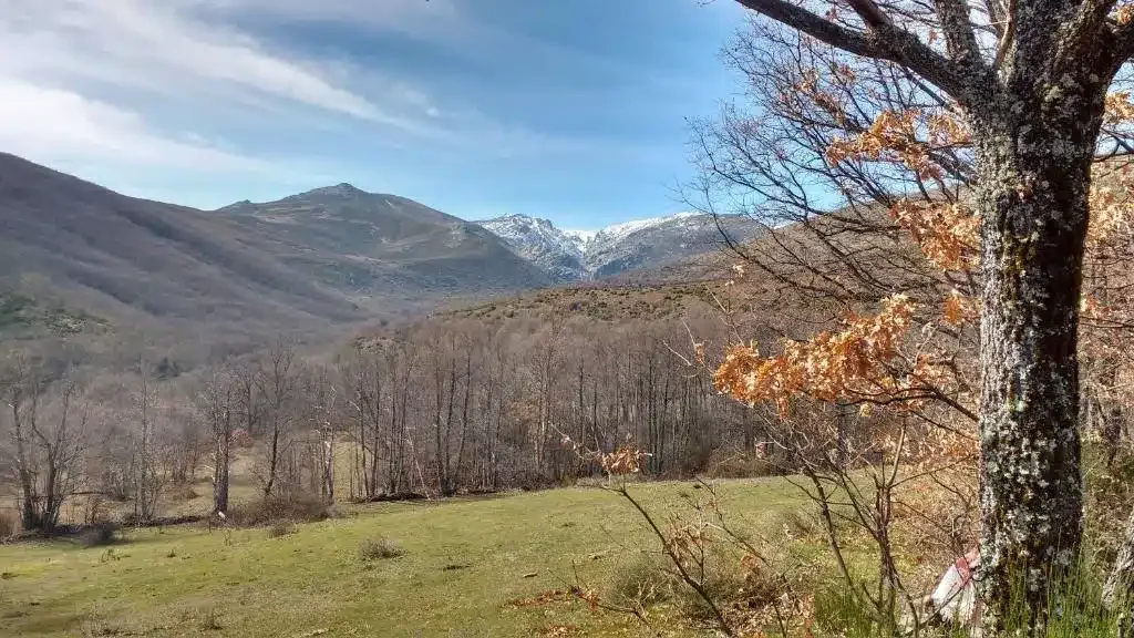 Casa Rural Al Patio - Foto 4
