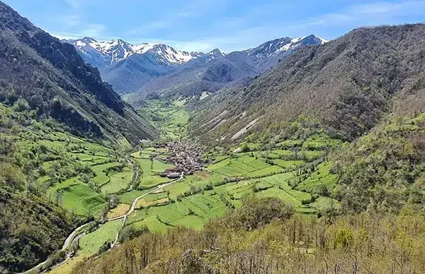 La Pornacal - Foto 3