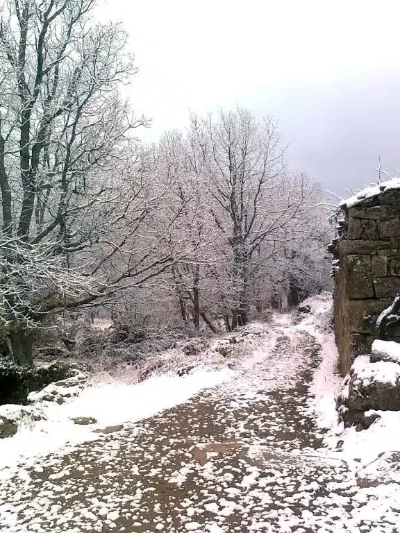 Los Castaños - Foto 5