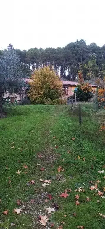 Las Gesillas - Foto 1