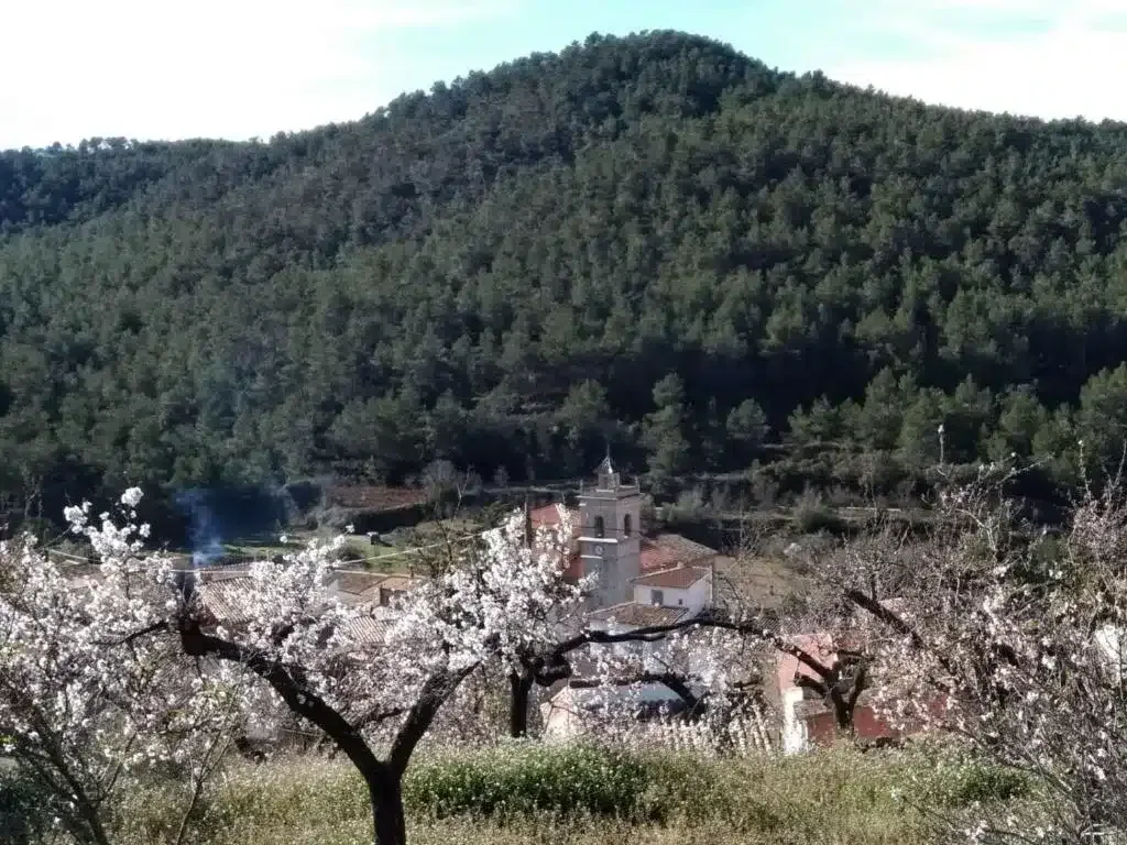 CASA RURAL en el Parque Natural Sierra de Espadán - Foto 4