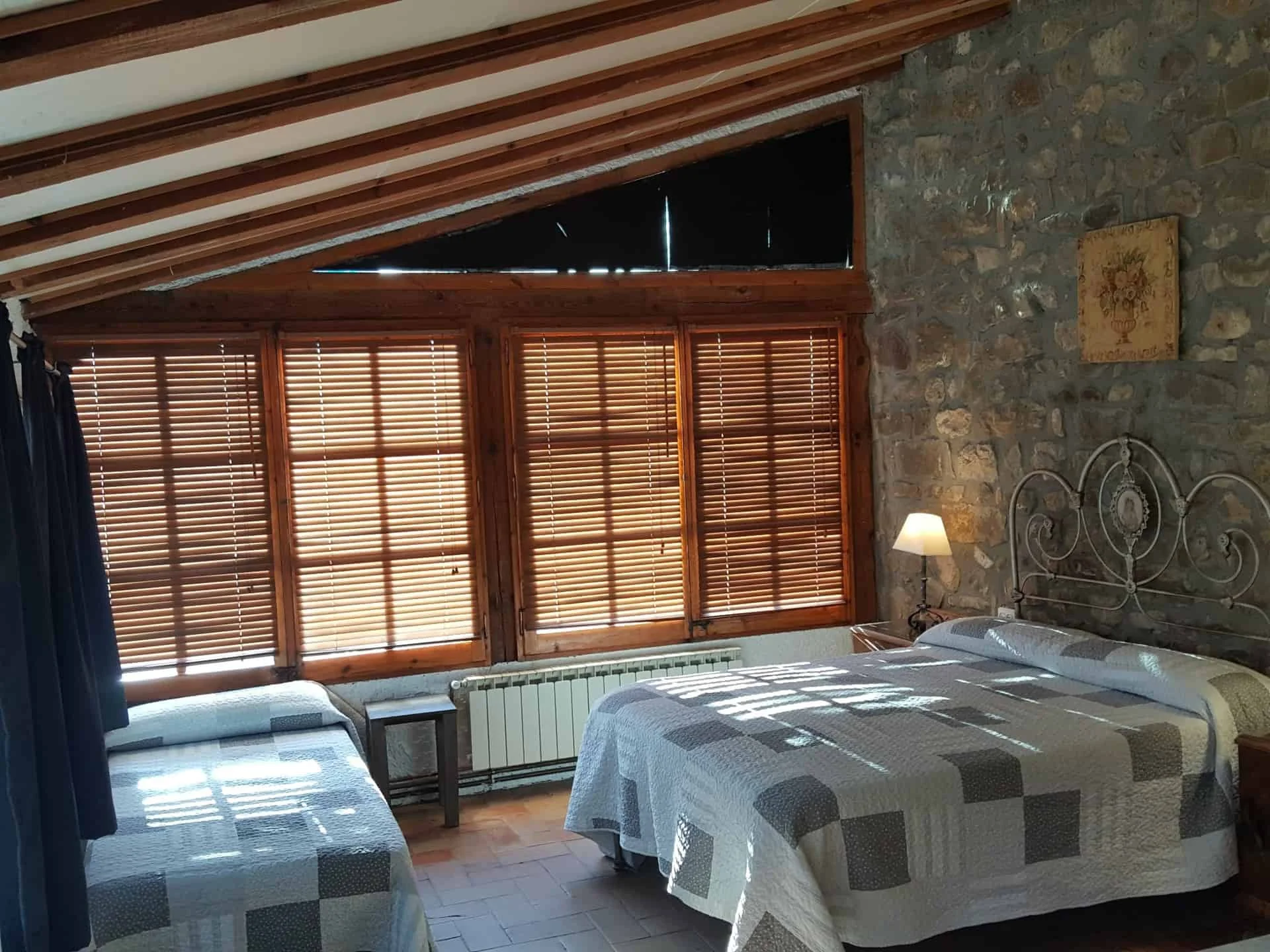 Salvanereta - Foto 5