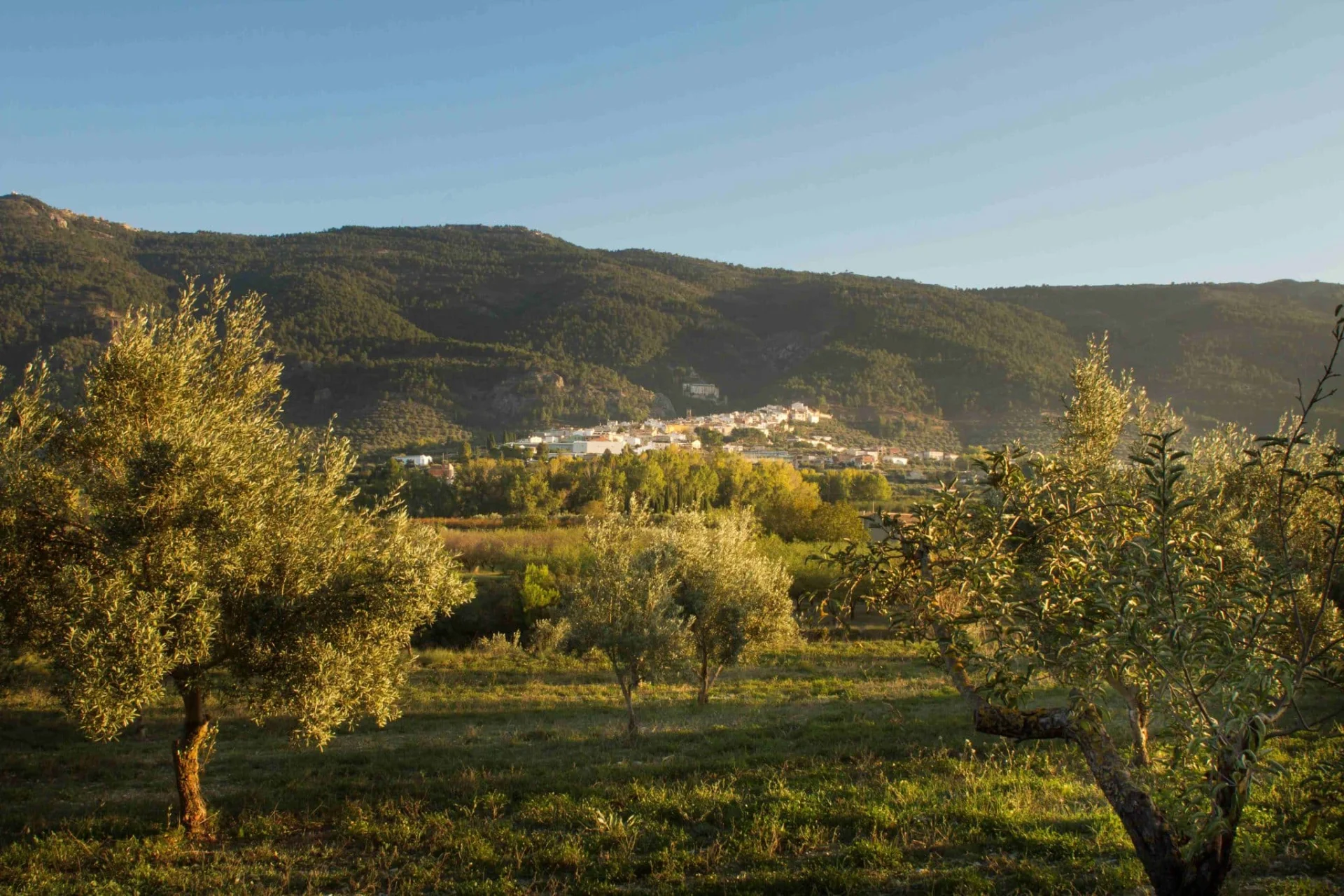 Riera d’Agres, Albergue Rural - Foto 4