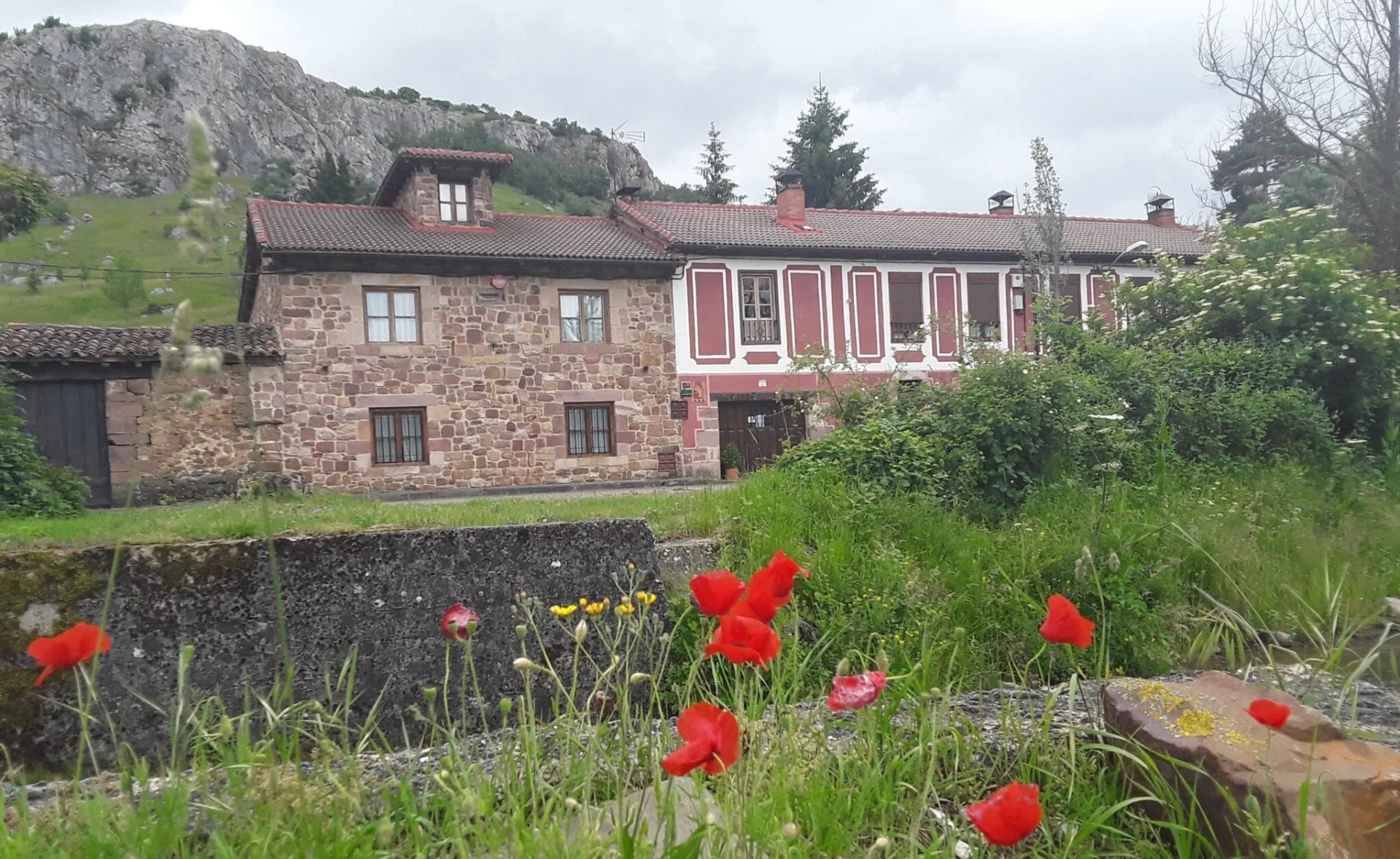 Casa Nido - Foto 1