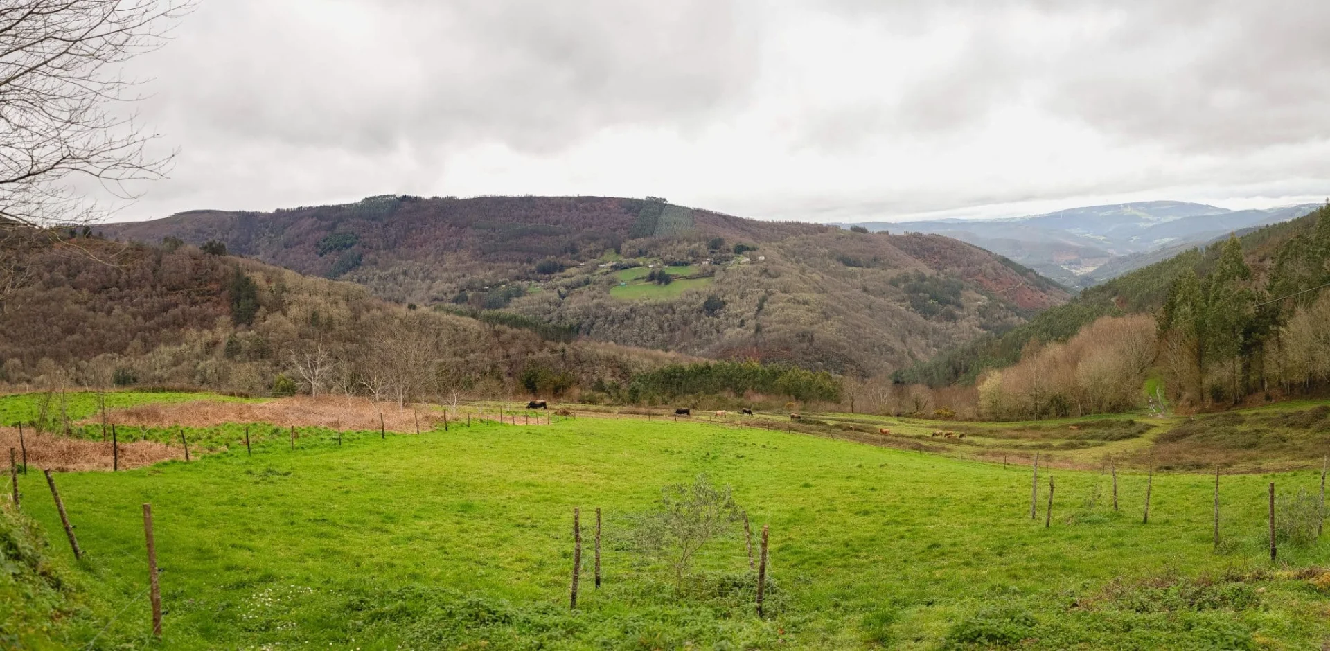 Casa Rural Lar de Sanxes - Foto 4
