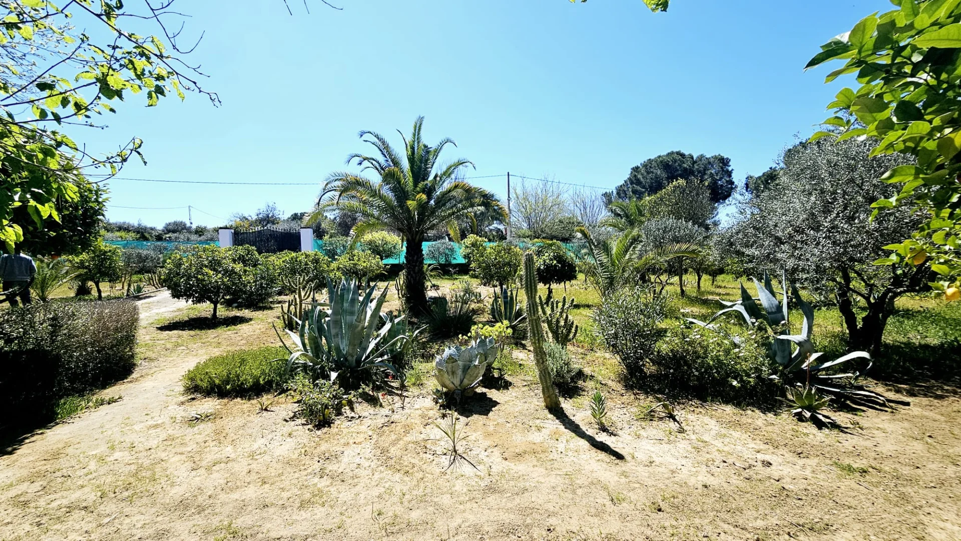 Casa Rural Villa Moral - Foto 5