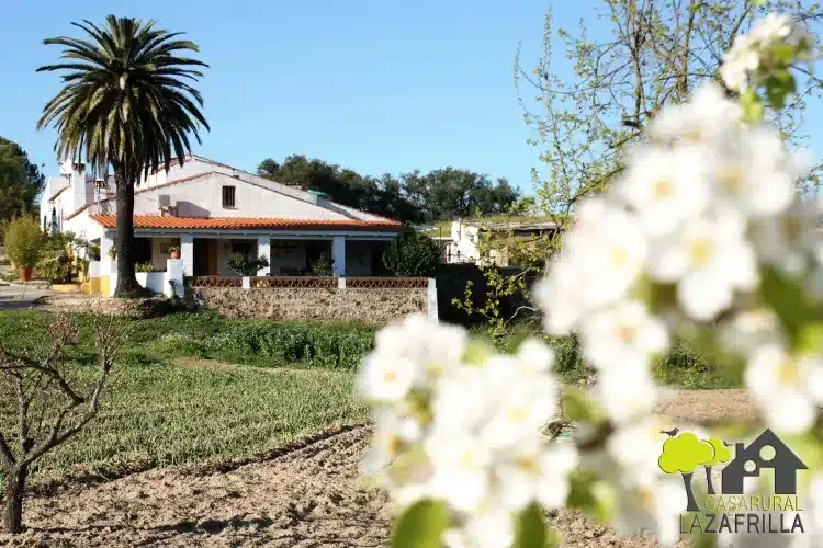 La Zafrilla - Foto 5