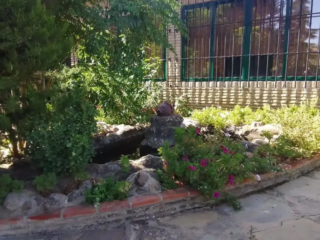 El Campito - Foto 4