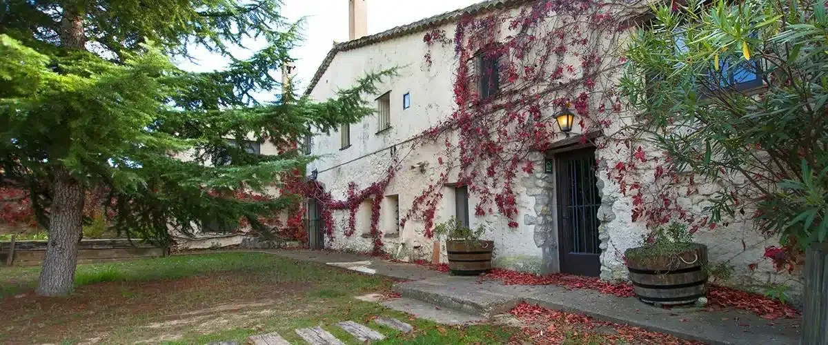 Complejo l'Olivera - Foto 2