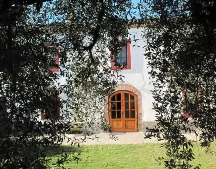 Can Teulera - Foto 4