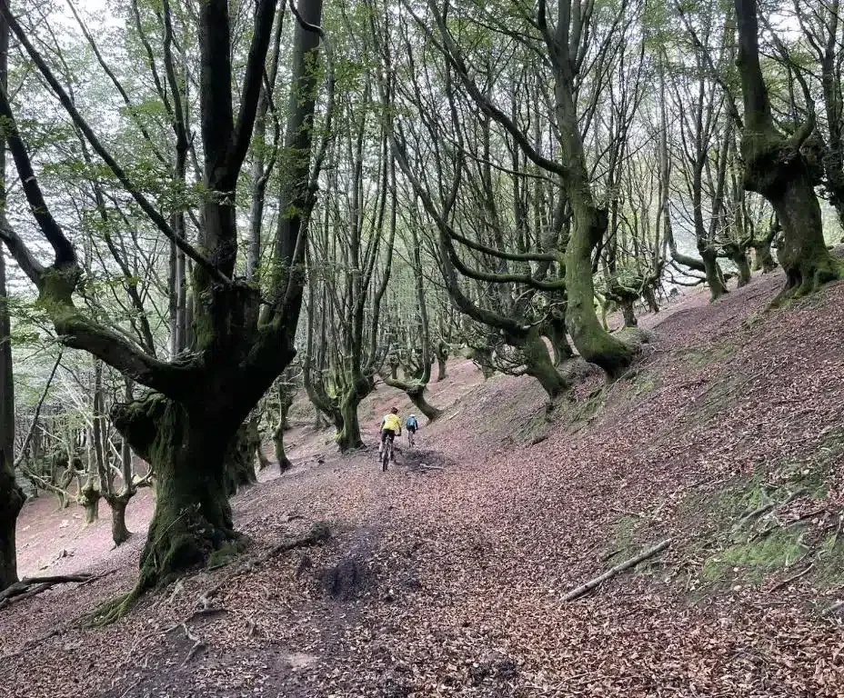 Olazabal Azpikoa - Foto 5