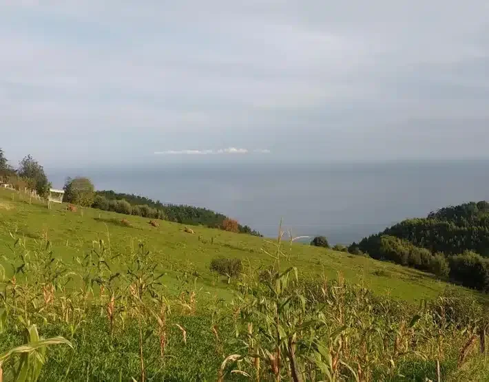 Urkixa Bekoa - Foto 2