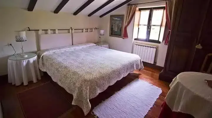 Ozollo - Foto 3