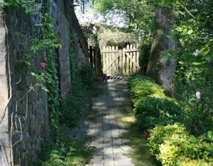Amalau - Foto 1