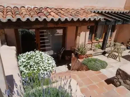 El Mirlo Azul - Foto 1