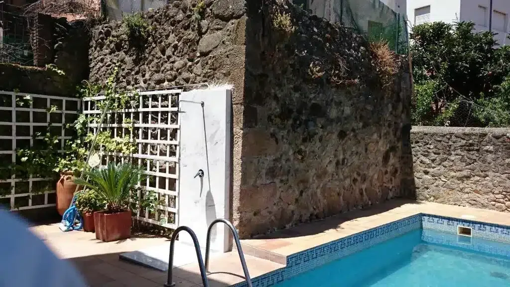 La Iguana - Foto 3