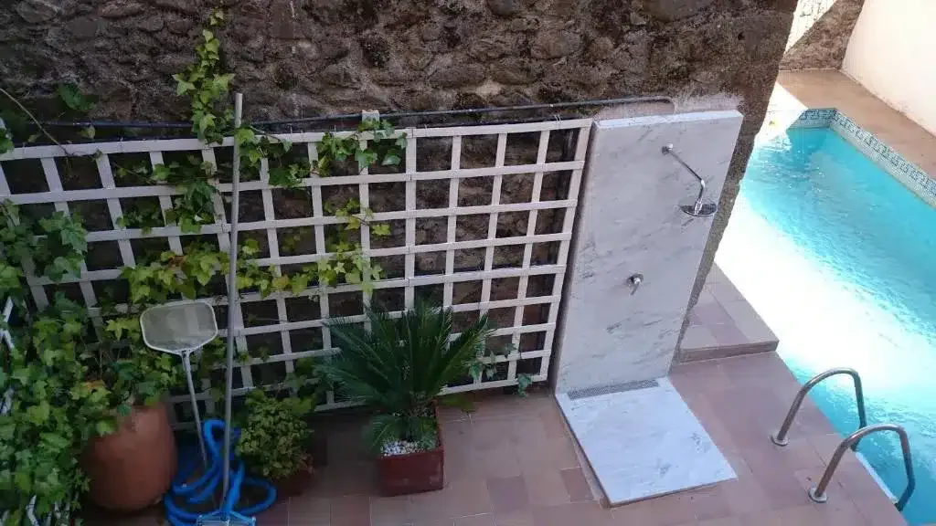 La Iguana - Foto 4