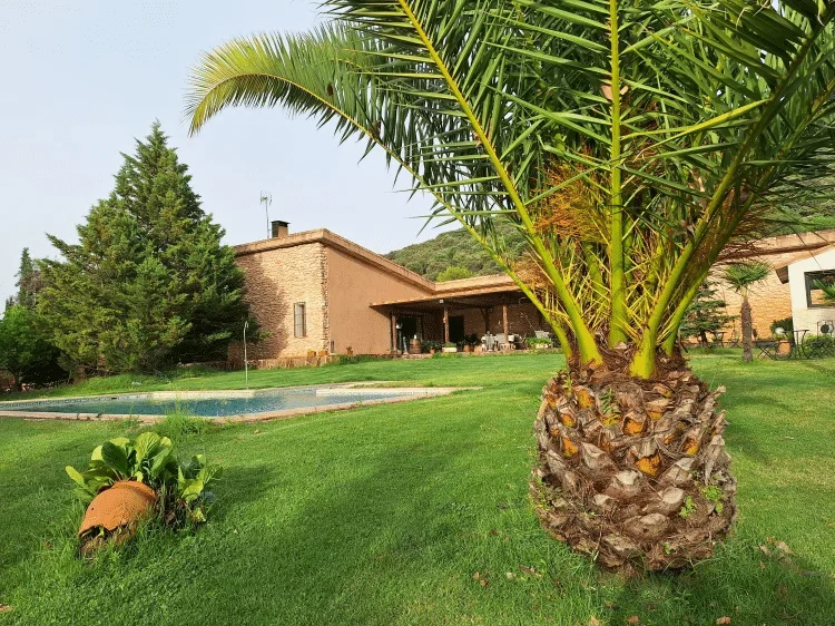 Las Madroñas - Foto 3