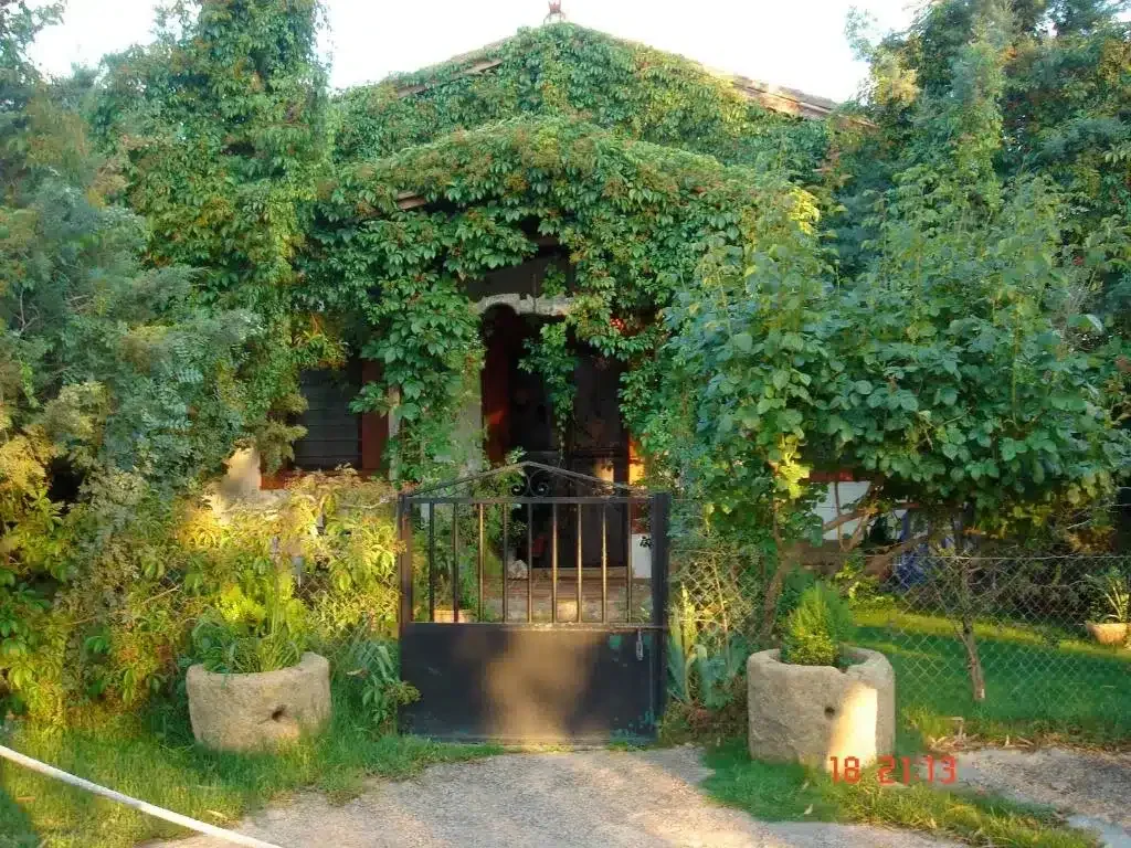 Finca Umbría - Foto 2