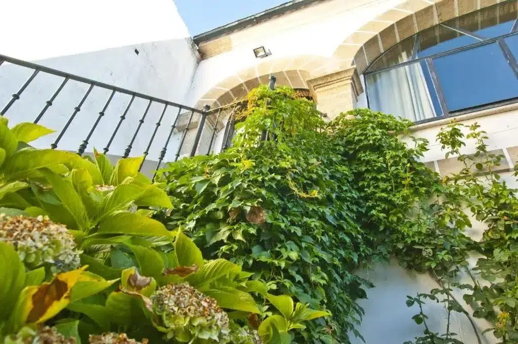 Casa Antolina - Foto 4