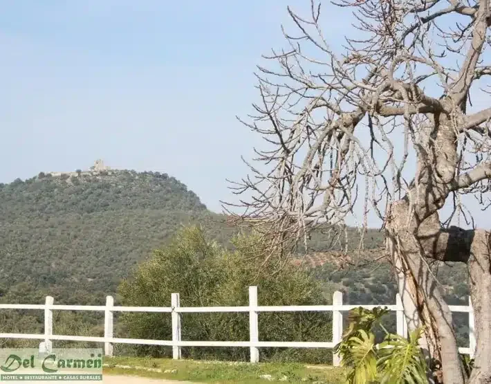 El Molinillo - Foto 3