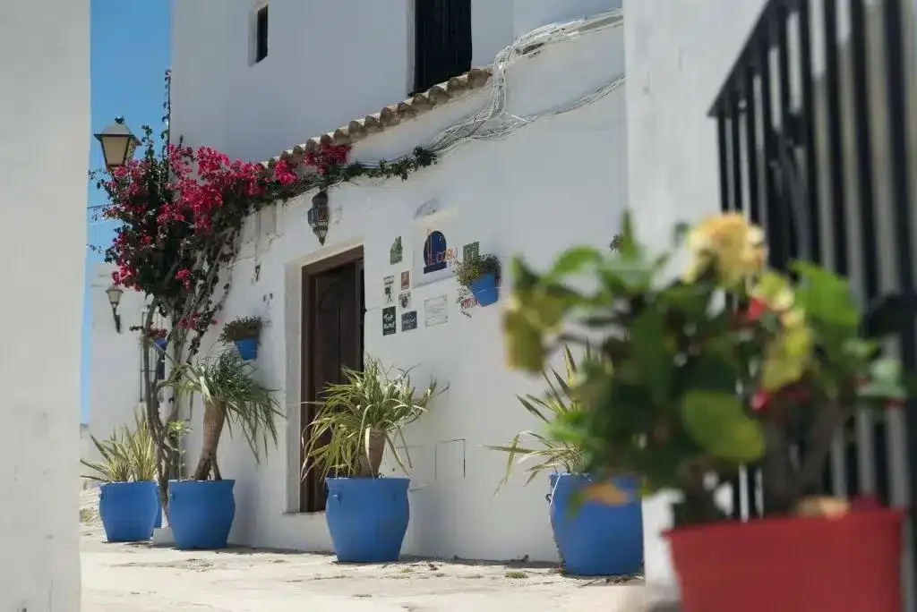 El Cobijo de Vejer - Foto 1
