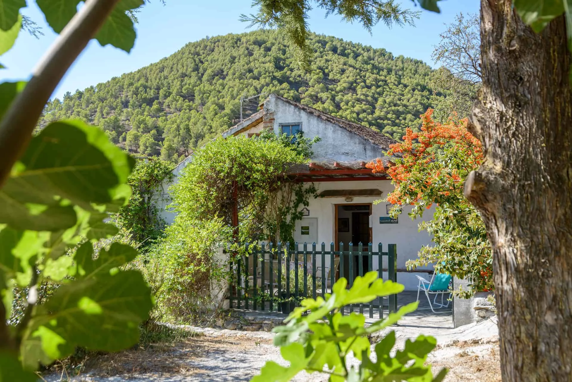 Casa Rural El Concejo - Foto 1