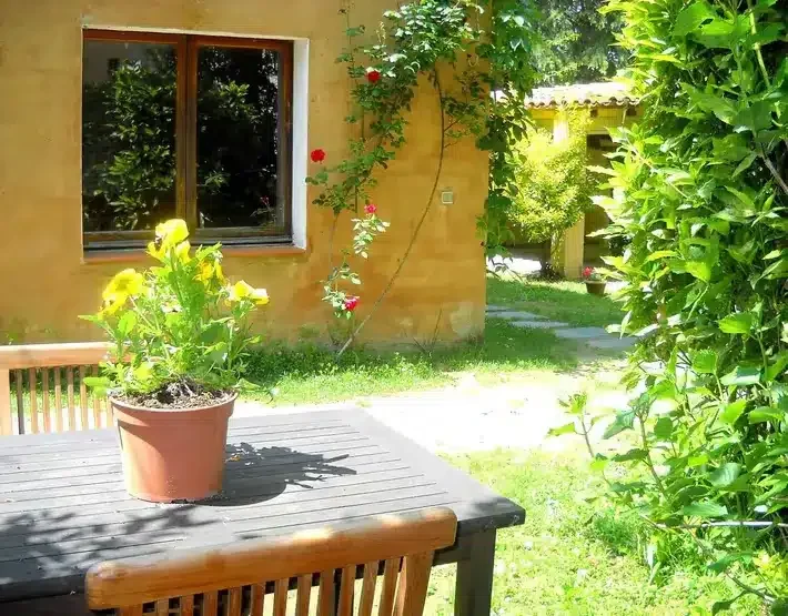 La Vinyassa - Foto 5