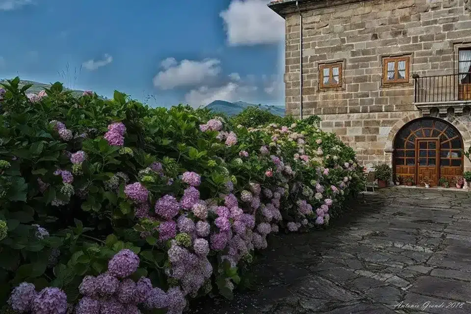 Casa Velarde - Foto 4