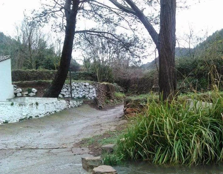 Molí del Duc - Foto 4