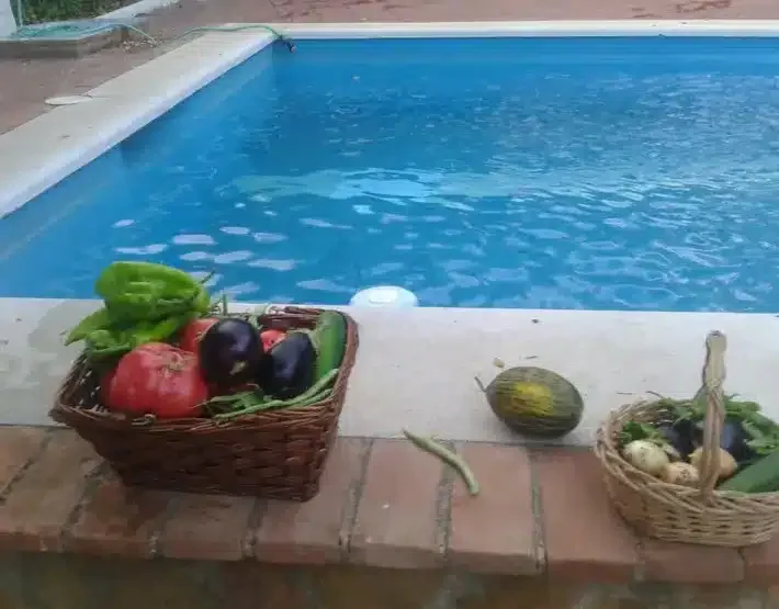Hacienda La Gamonosa - Foto 4