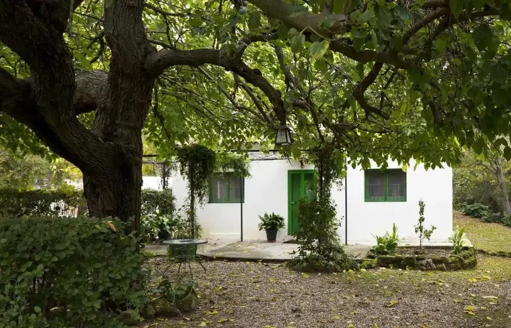 Cuevas del Pino - Foto 3