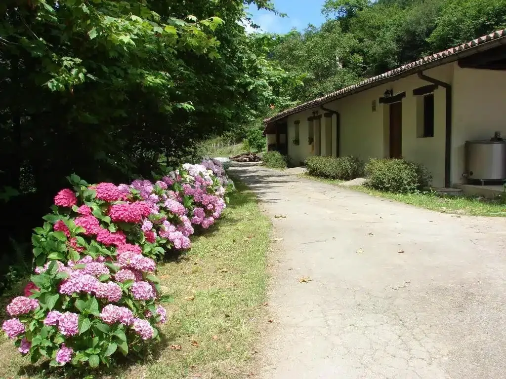 Goikola - Foto 2