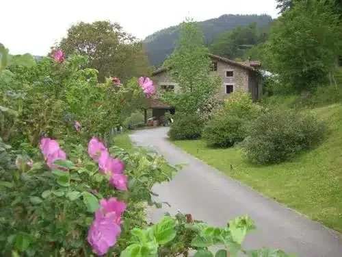 Goikola - Foto 3