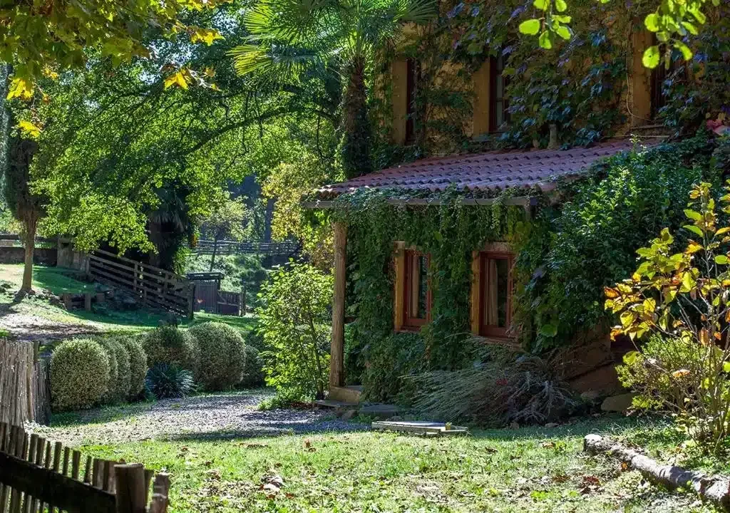 El Molí de Can Aulet - Foto 2