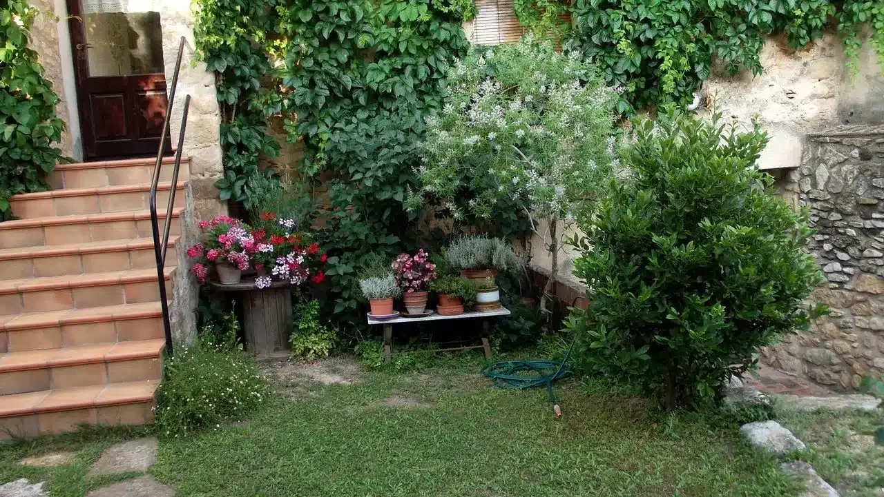 Can Solès - Foto 3