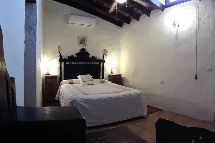 El Olivar - Foto 3