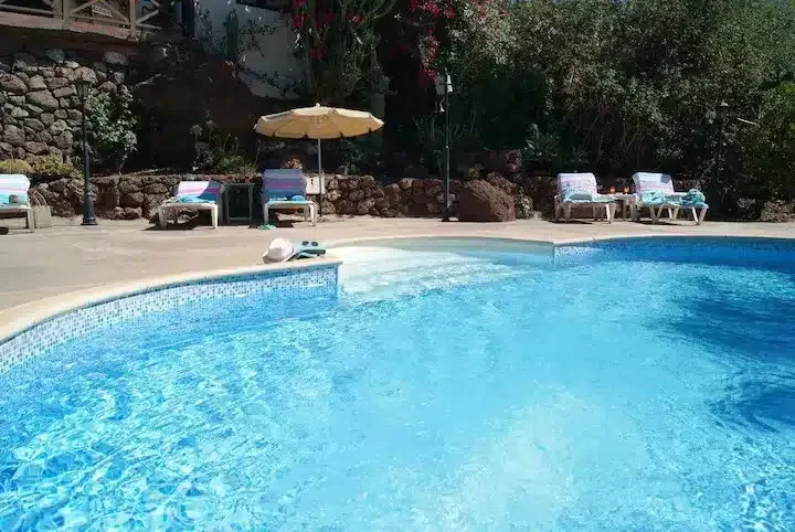 El Olivar - Foto 4